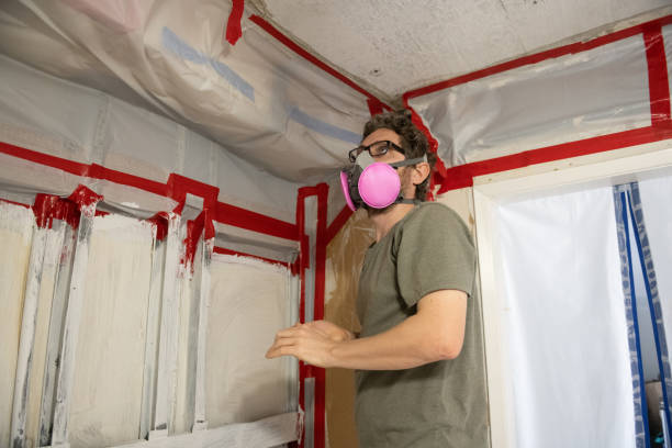 Asbestos and Lead Testing During Mold Inspection in Syracuse, UT